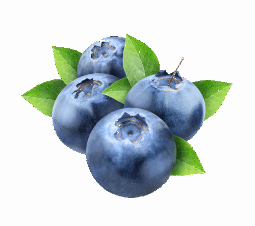 Голубика